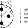 M12-D Kabelstecker – Bild 3