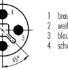 M12-T Kabelstecker – Bild 2